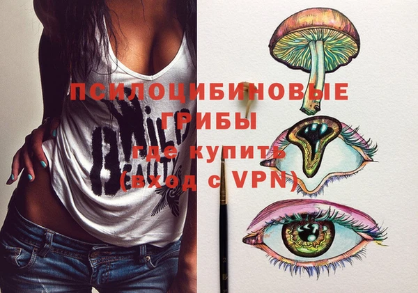 спиды Алексеевка