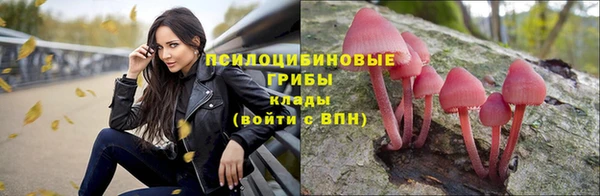 амф Абинск