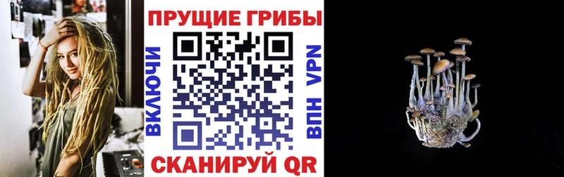 Галлюциногенные грибы MAGIC MUSHROOMS  цены наркотик  Лангепас 