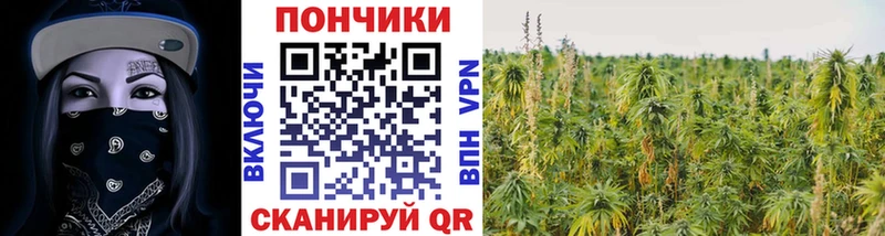 hydra ONION  Лангепас  Марихуана Ganja  где продают наркотики 